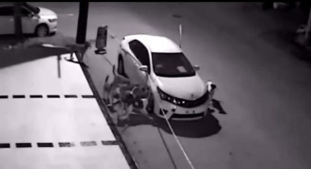 男子鸣笛赶狗 土狗竟叫伙伴把车拆了