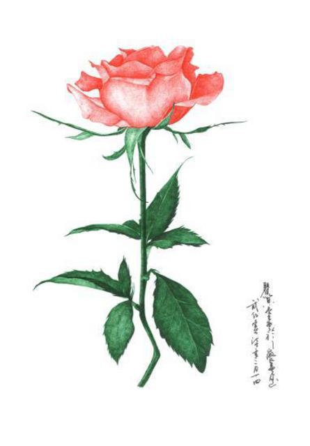 太逼真！河南一大学生用圆珠笔作画火遍网络(图)