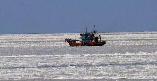 休渔不等于封海 青岛有近海捕捞渔船6000余艘