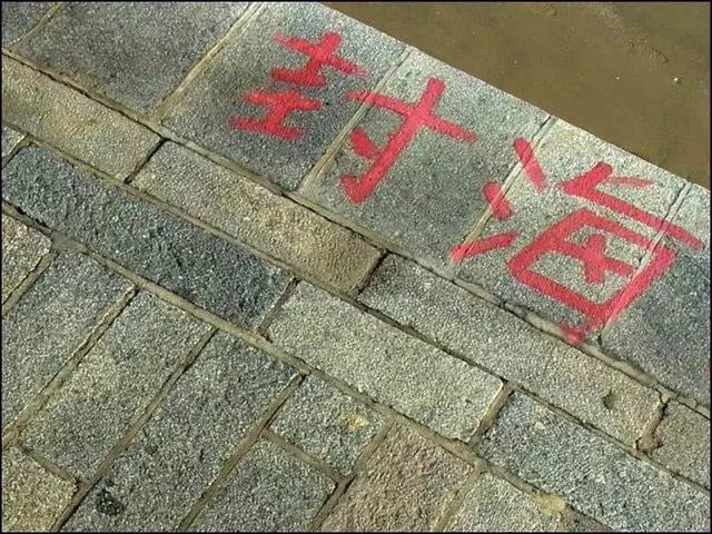 休渔不等于封海 青岛有近海捕捞渔船6000余艘