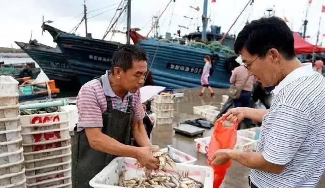 休渔不等于封海 青岛有近海捕捞渔船6000余艘