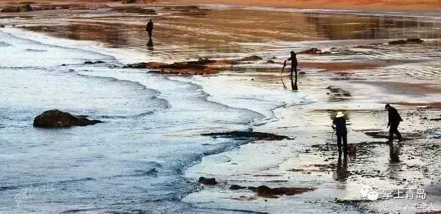 赶紧收藏! 青岛七大赶海好去处推荐(附时间) 赶紧收藏! 青岛七大赶海好去处推荐(附时间)
