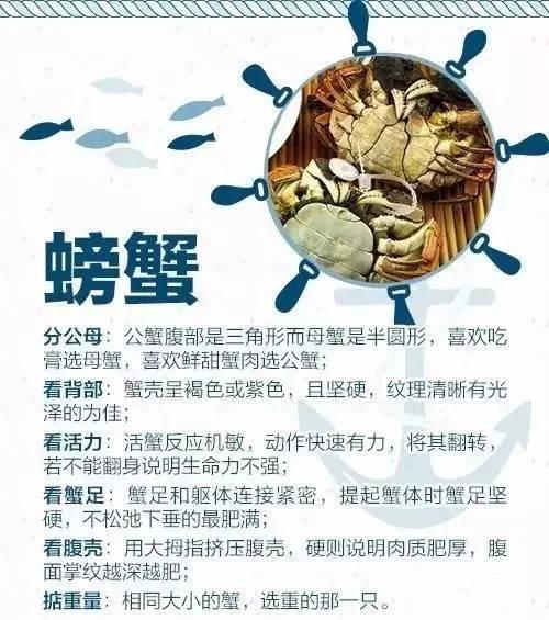 9月1日开海！青岛海鲜去哪儿买？看这儿