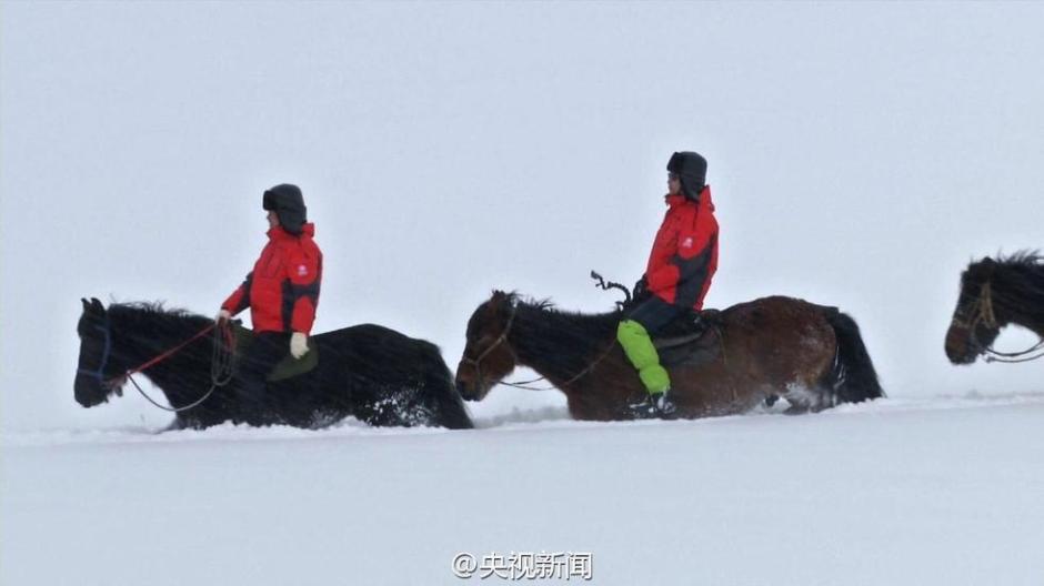 新疆阿勒泰连续降雪14天 马儿成了“潜雪艇”