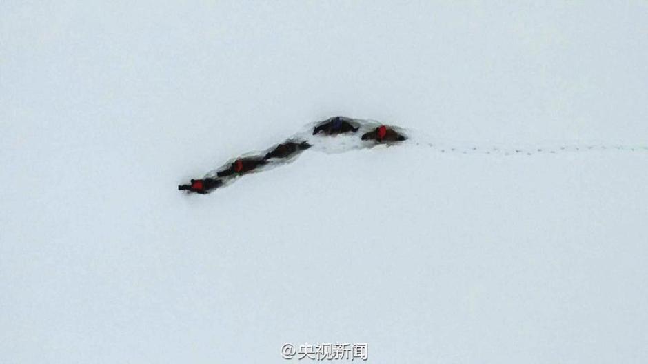 新疆阿勒泰连续降雪14天 马儿成了“潜雪艇”