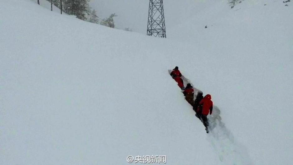 新疆阿勒泰连续降雪14天 马儿成了“潜雪艇”