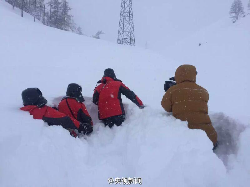 新疆阿勒泰连续降雪14天 马儿成了“潜雪艇”