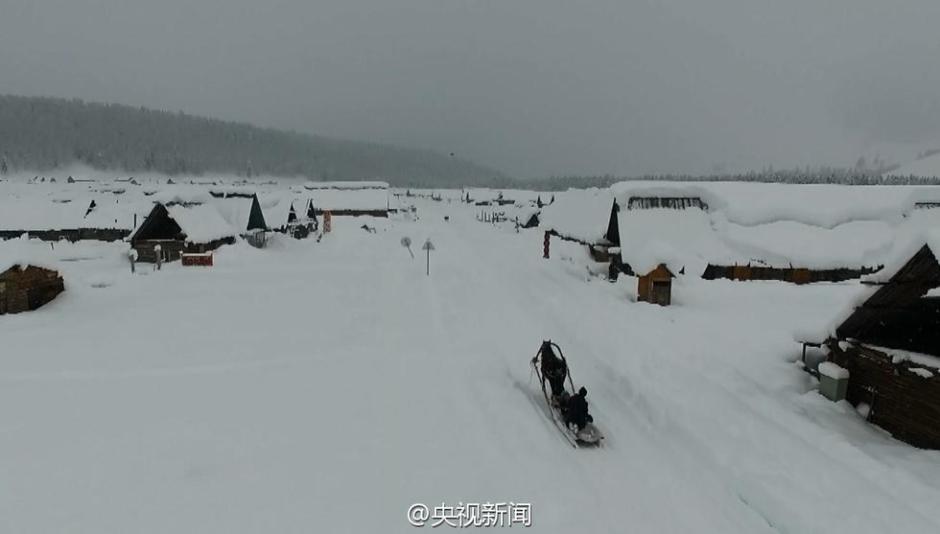 新疆阿勒泰连续降雪14天 马儿成了“潜雪艇”