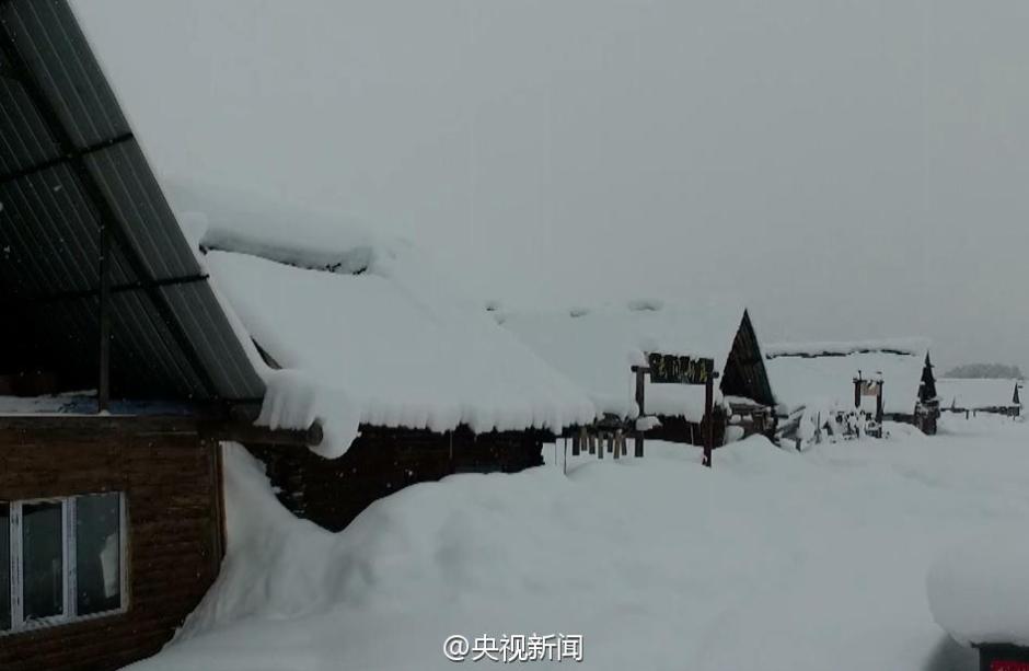 新疆阿勒泰连续降雪14天 马儿成了“潜雪艇”