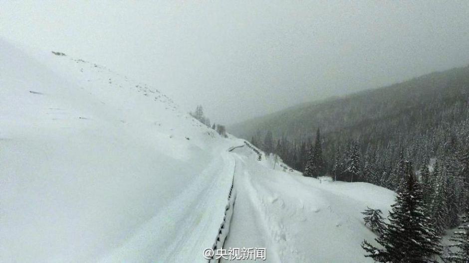 新疆阿勒泰连续降雪14天 马儿成了“潜雪艇”