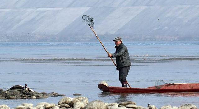 两男子持秃鹰气枪打鸟 警方表态会严处