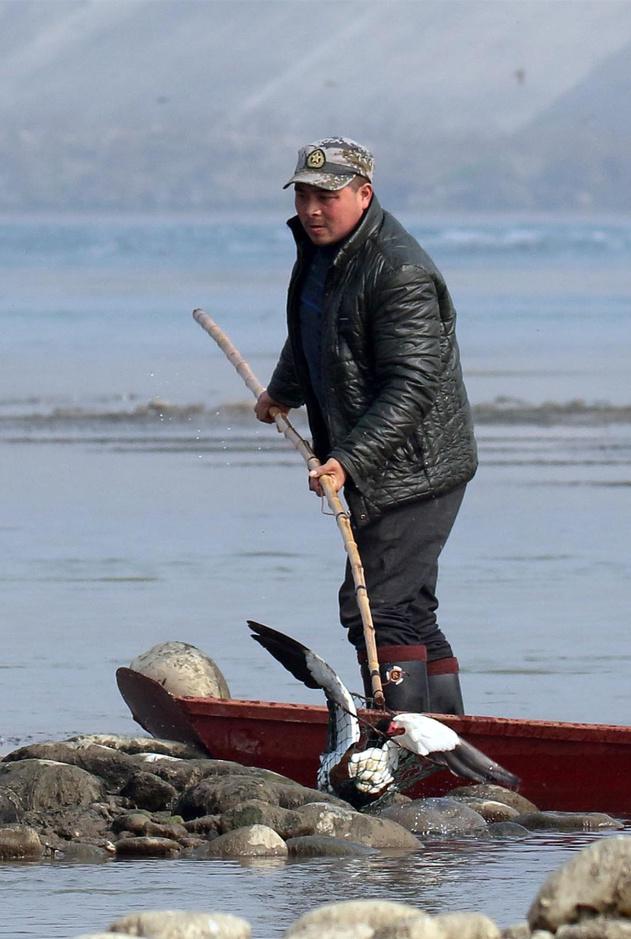 两男子持秃鹰气枪打鸟 警方表态会严处