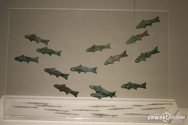 高清：中国古代第一豪车亮相 车主或为义渠王