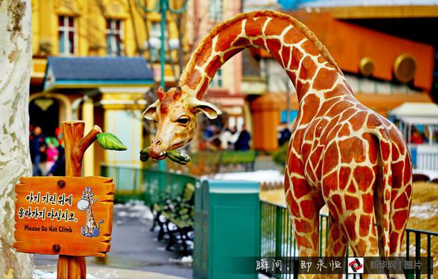 那些适合带娃狂欢的主题乐园