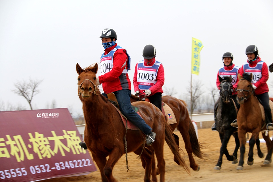 全国马术耐力赛姜山开跑 青岛小哥摘冠(图)