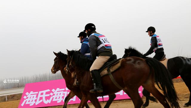 全国马术耐力赛姜山开跑 青岛小哥摘冠(图) 全国马术耐力赛姜山开跑 青岛小哥摘冠(图)