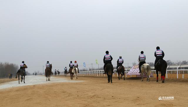 全国马术耐力赛姜山开跑 青岛小哥摘冠(图) 全国马术耐力赛姜山开跑 青岛小哥摘冠(图)