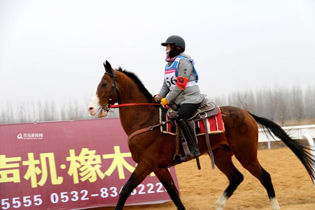 全国马术耐力赛姜山开跑 青岛小哥摘冠(图) 全国马术耐力赛姜山开跑 青岛小哥摘冠(图)
