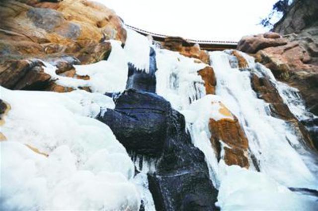 青岛市区一夜入冰窖 北九水冰瀑高达10米 青岛市区一夜入冰窖 北九水冰瀑高达10米