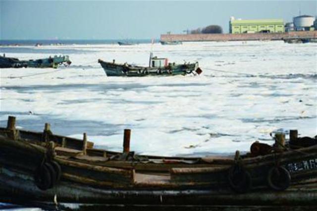 青岛市区一夜入冰窖 北九水冰瀑高达10米 青岛市区一夜入冰窖 北九水冰瀑高达10米