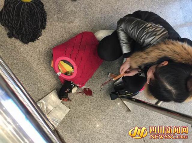 带活鸭过安检被拒 成都东客站一乘客现场提刀宰杀