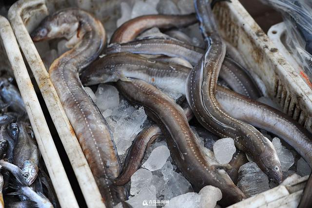积米崖海鲜市场迁至渔港外 海捕鱼热卖(组图) 积米崖海鲜市场迁至渔港外 海捕鱼热卖(组图)