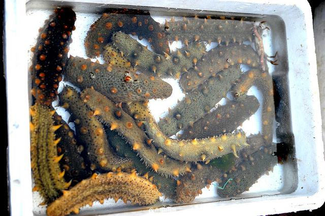 积米崖海鲜市场迁至渔港外 海捕鱼热卖(组图) 积米崖海鲜市场迁至渔港外 海捕鱼热卖(组图)