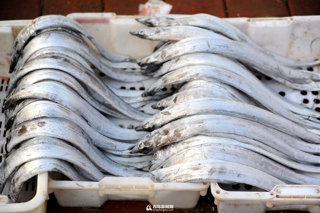 积米崖海鲜市场迁至渔港外 海捕鱼热卖(组图) 积米崖海鲜市场迁至渔港外 海捕鱼热卖(组图)