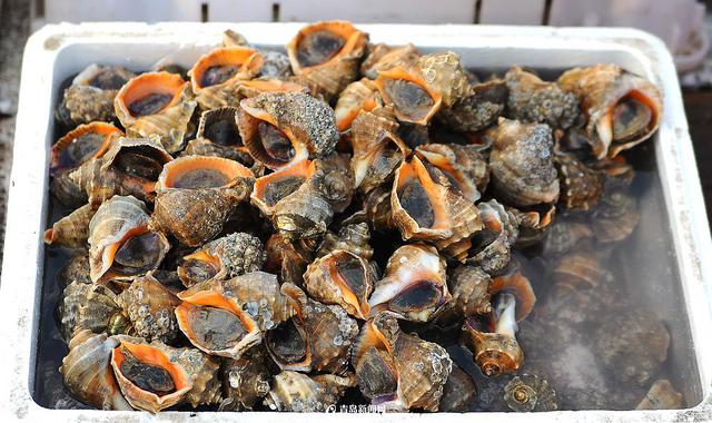 积米崖海鲜市场迁至渔港外 海捕鱼热卖(组图) 积米崖海鲜市场迁至渔港外 海捕鱼热卖(组图)