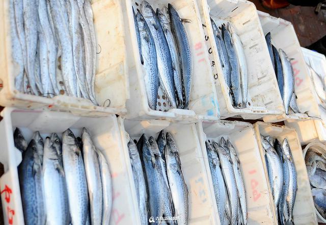 积米崖海鲜市场迁至渔港外 海捕鱼热卖(组图) 积米崖海鲜市场迁至渔港外 海捕鱼热卖(组图)