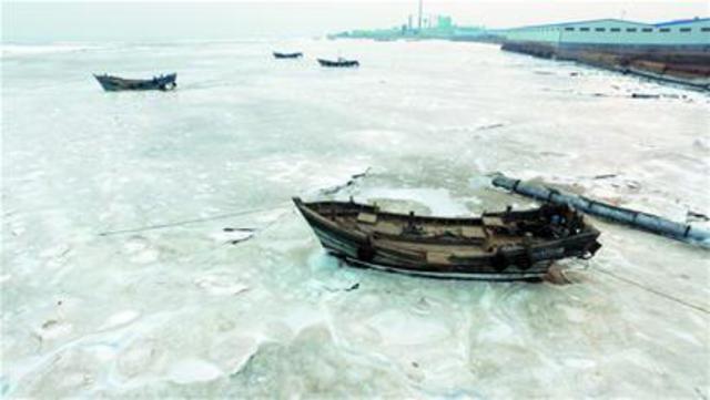 胶州湾现冰河世纪 海冰面积如840个足球场