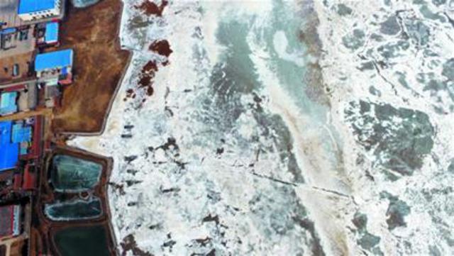 胶州湾现冰河世纪 海冰面积如840个足球场