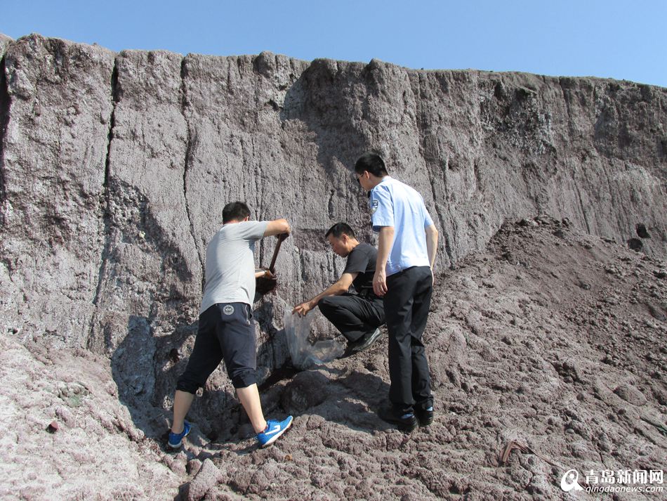 青岛海关2015十大案例:打掉枪支走私窝点