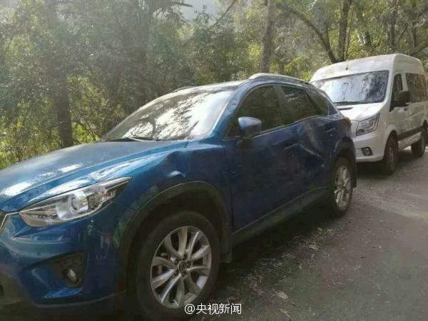 西双版纳野象路边玩车 14辆汽车被损坏