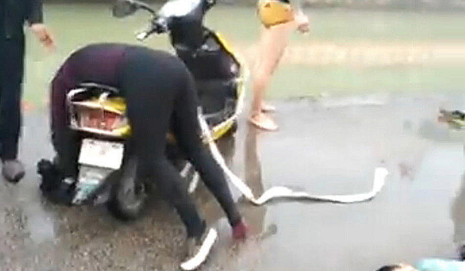 雾天小车冲入水沟一家4口亡