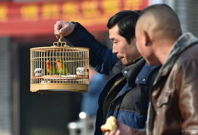 外媒镜头下的春运回家路