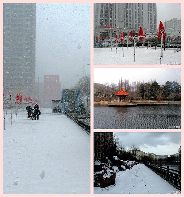 【攒新闻】猴年首雪网友晒欢乐 总有一张萌翻你