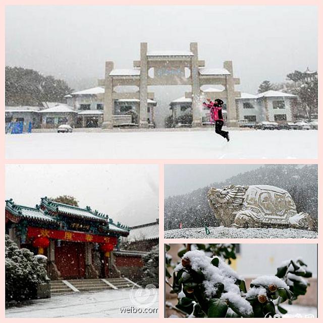 【攒新闻】猴年首雪网友晒欢乐 总有一张萌翻你