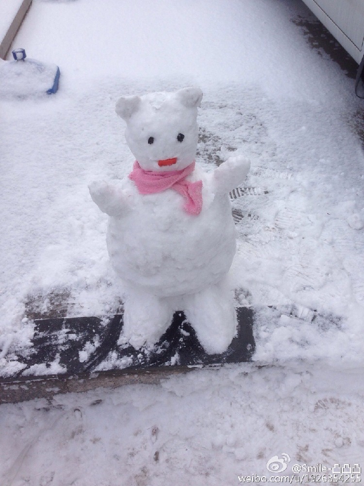 【攒新闻】猴年首雪网友晒欢乐 总有一张萌翻你