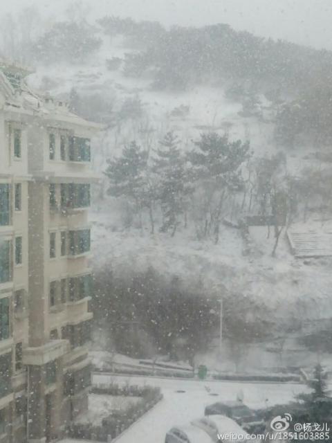 【攒新闻】猴年首雪网友晒欢乐 总有一张萌翻你
