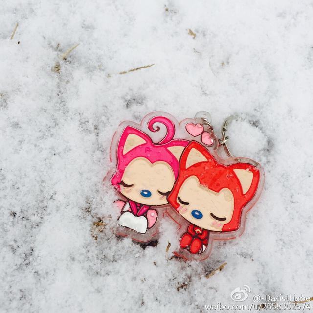 【攒新闻】猴年首雪网友晒欢乐 总有一张萌翻你