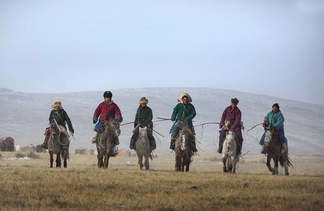 耐寒蒙古马冰天雪地竞赛展雄风