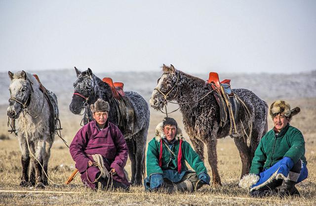 耐寒蒙古马冰天雪地竞赛展雄风