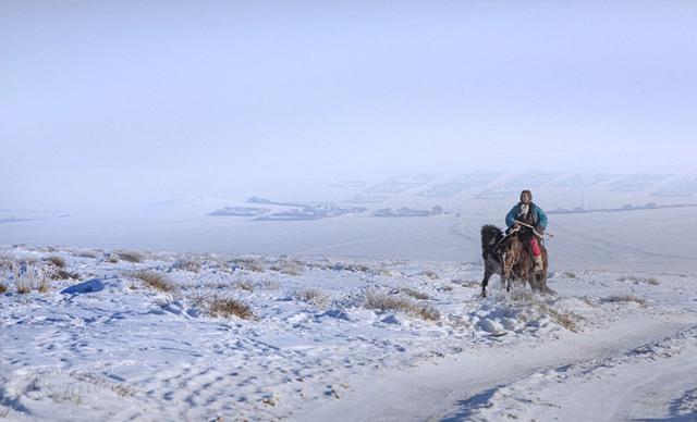 耐寒蒙古马冰天雪地竞赛展雄风
