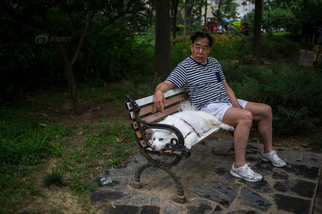高清：青岛人在北京！影像记录两座城两个家