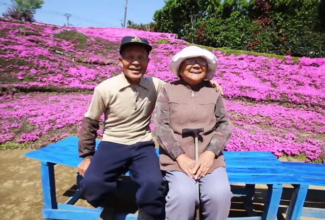 日本老人为失明妻子种出一片花海
