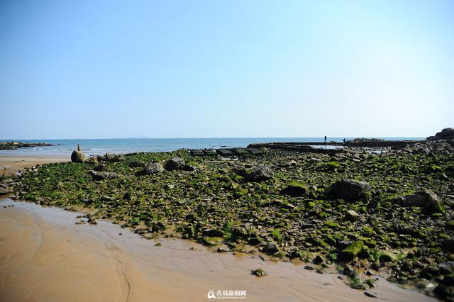 实拍二月三连岛 西海岸醉人的桃源春色