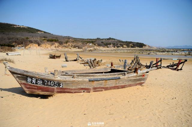 实拍二月三连岛 西海岸醉人的桃源春色