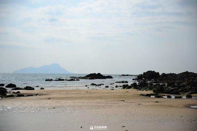 实拍二月三连岛 西海岸醉人的桃源春色