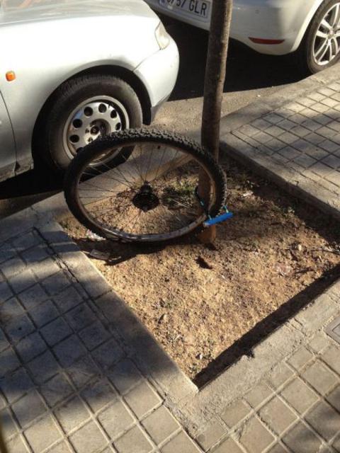 歪果仁真会玩！